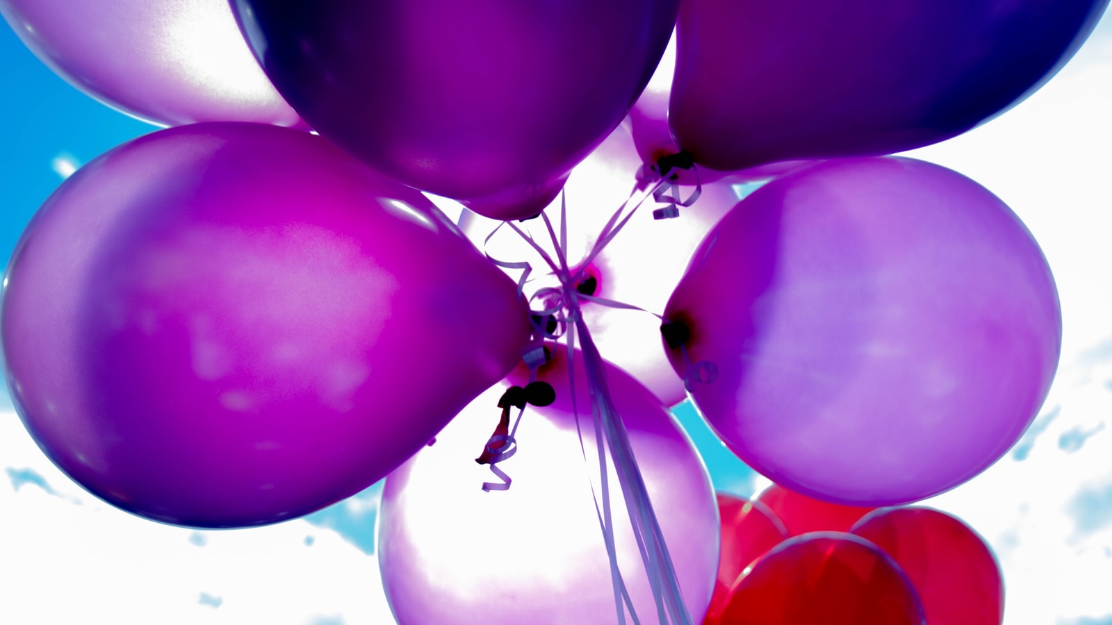 Birthday party backdrop with balloons and celebration decor