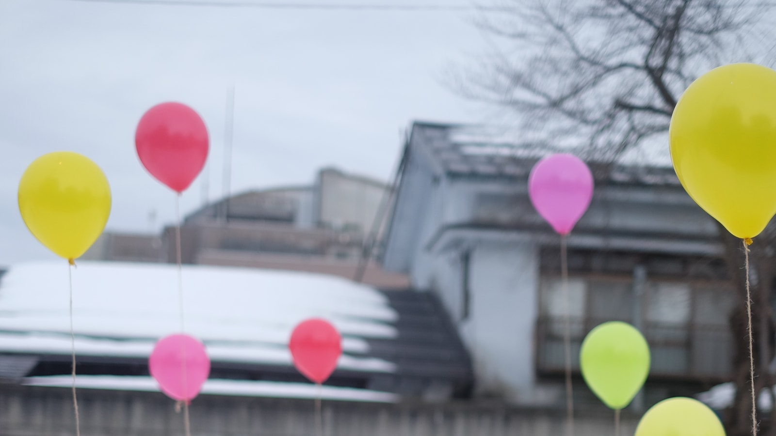 Birthday party backdrop with balloons and celebration decor
