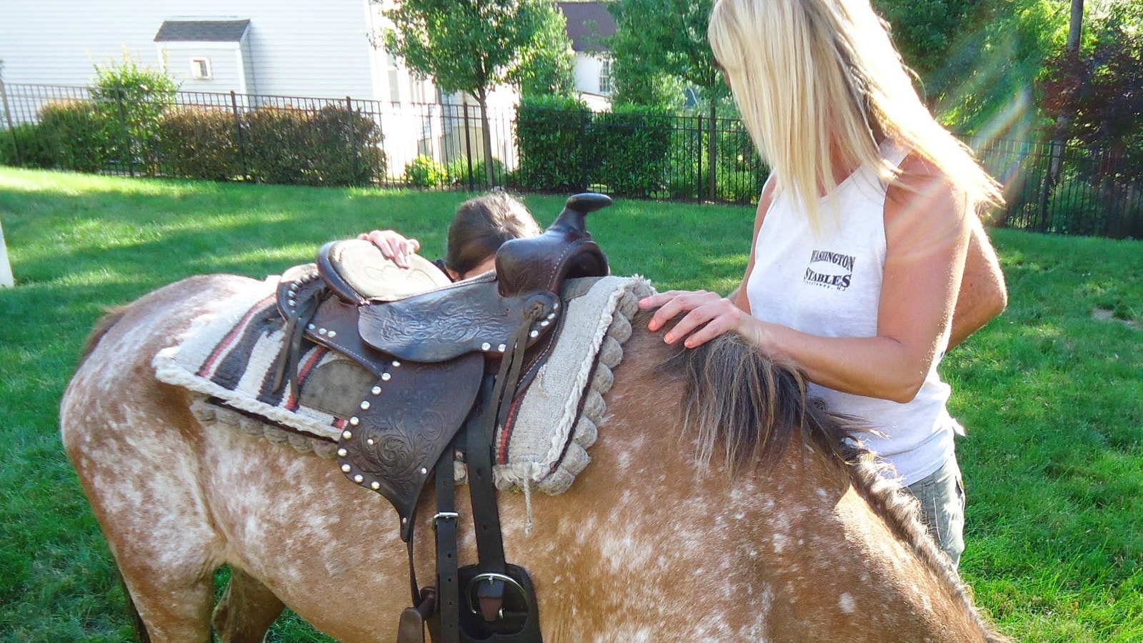 Pony Ride At A Kids Birthday Party With Pony Eating Backyard Grass